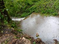 20240914_155259 (1024x768).jpg